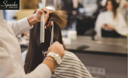 Sparks Unisex Salon