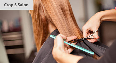 Crop Salon
