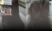 Hair plaza