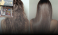Hair plaza