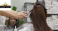 Alex International Salon