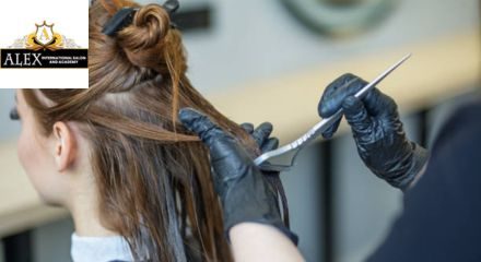 Alex International Salon